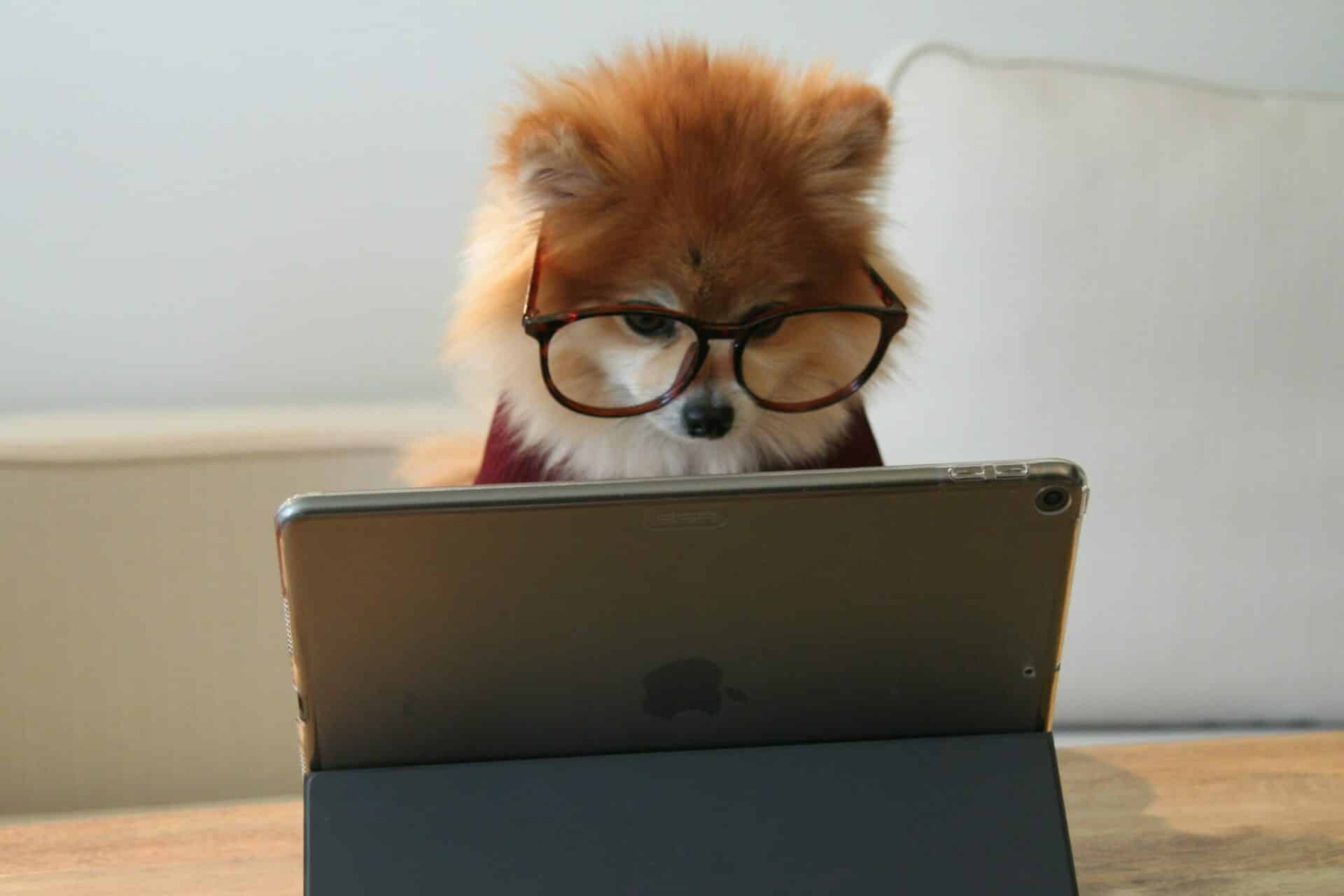 Die Bedeutung von Sicherheitsaudits für Unternehmen: Ein Leitfaden