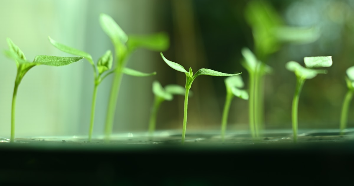 Beitragsbild: Greenwashing-Verbot 2026: „klimaneutral“ ist ab dem 27. September raus